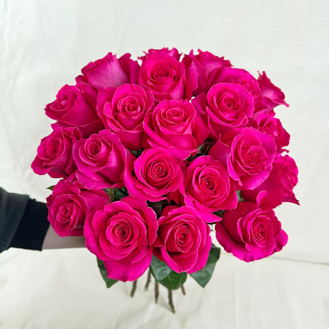 Rosen Pink Floyd - Der Blumenladen Rauch GmbH