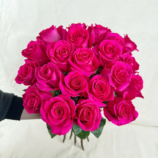 Rosen Pink Floyd - Der Blumenladen Rauch GmbH